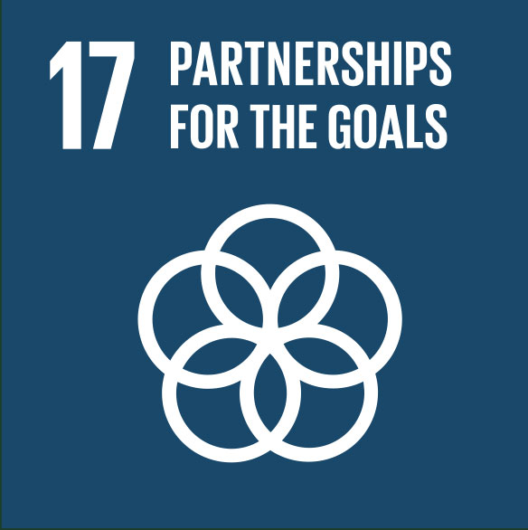 partnerships-for-the-goals partnerships-for-the-goals